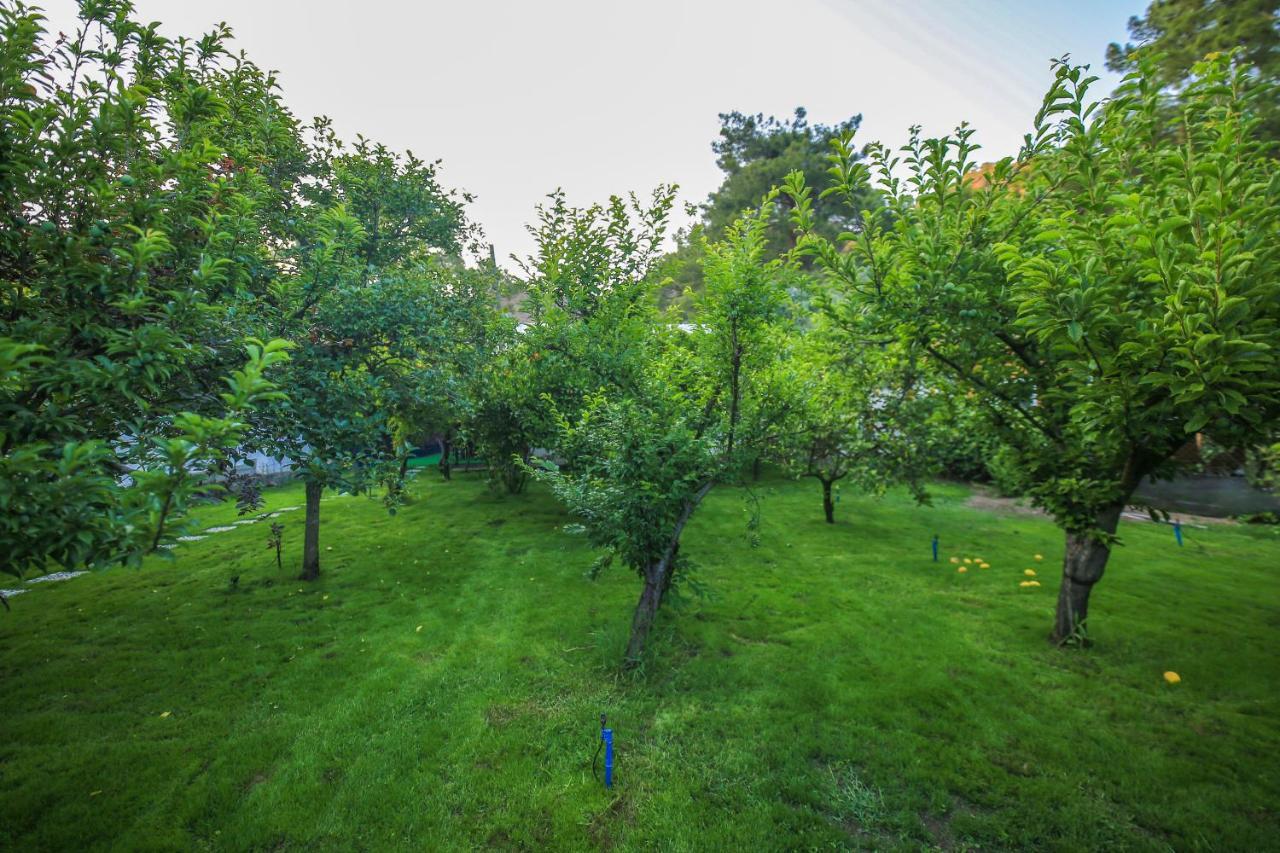 Seker Bungalov Apartment Чирали Екстериор снимка