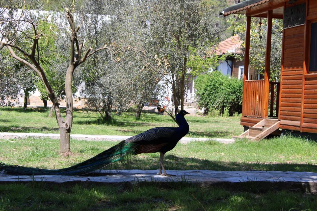 Seker Bungalov Apartment Чирали Екстериор снимка